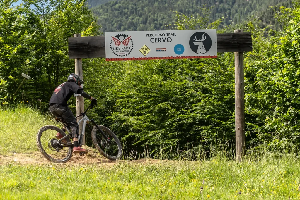 Rider percorre il trail Cervo del Bike Park Tarvisio, percorso rosso immerso nel bosco delle Alpi Giulie.
