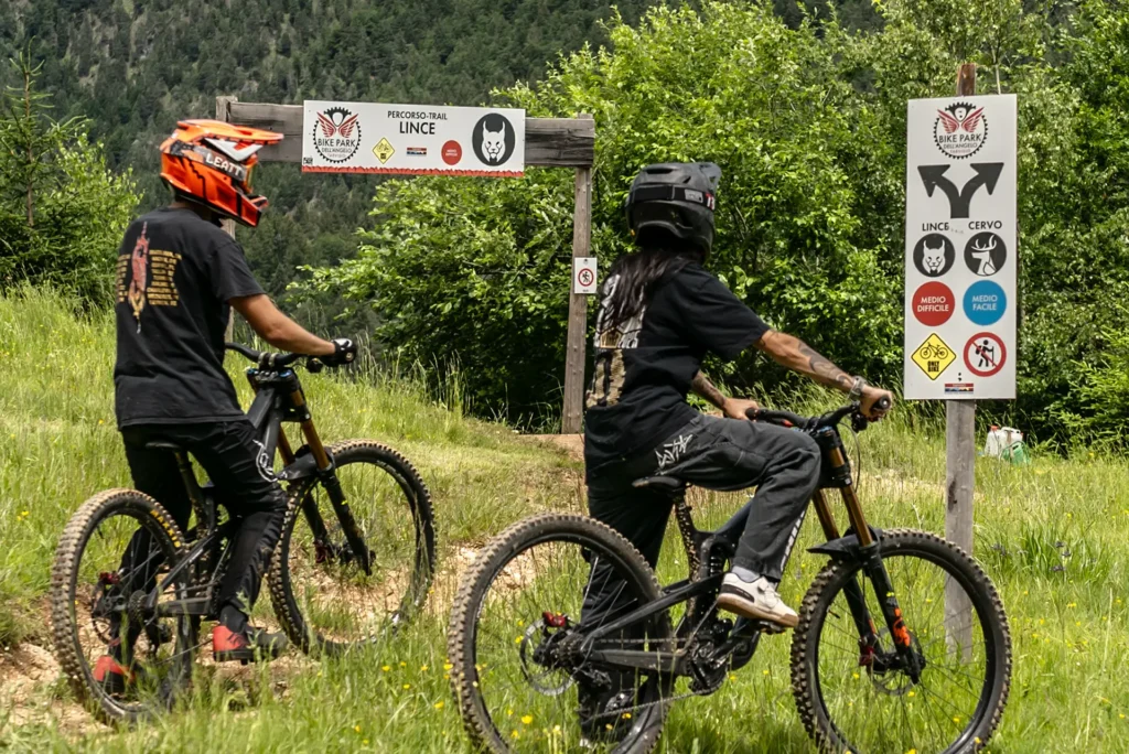 Riders sul trail Lince del Bike Park Tarvisio, percorso rosso con curve, salti e tratti tecnici.