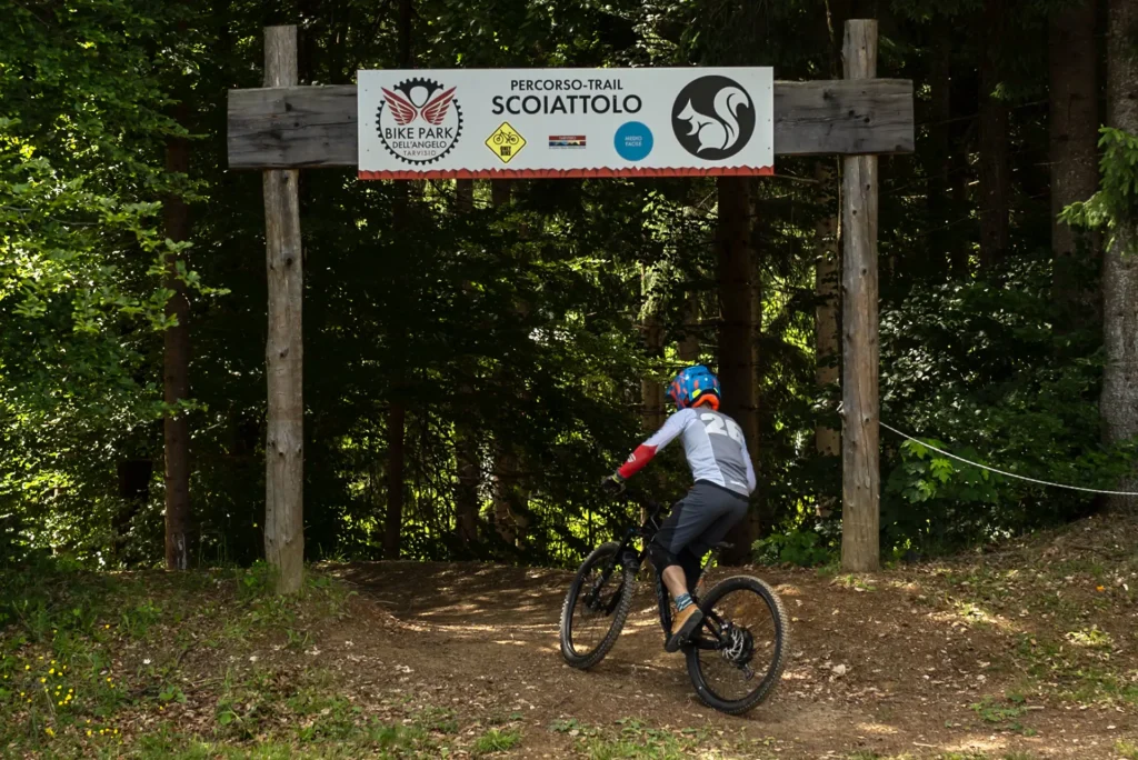 Rider affronta il trail Scoiattolo del Bike Park Tarvisio, percorso blu ideale per principianti e famiglie.